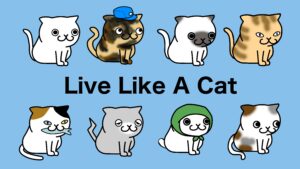 LLAC(Live Like A Cat)の概要とアローリスト獲得方法【猫のように生きる】