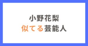 小野花梨に似てる芸能人