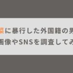 小嶋陽菜に暴行した外国籍の男は誰？顔画像やSNSを調査してみた