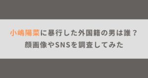 小嶋陽菜に暴行した外国籍の男は誰？顔画像やSNSを調査してみた