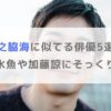 【画像】井之脇海に似てる俳優5選！宮沢氷魚や加藤諒にそっくり！？