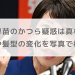 高市早苗のかつら疑惑は真相は？眉毛や髪型の変化を写真で検証！